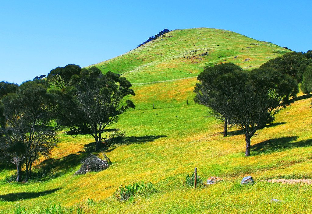 A high-end computer monitor displaying a photo editing interface like Luminar Neo, showing a vibrant landscape being
