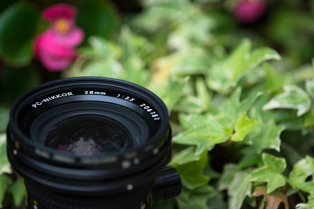 Panasonic Lumix S5 II Settings for Product Photography
