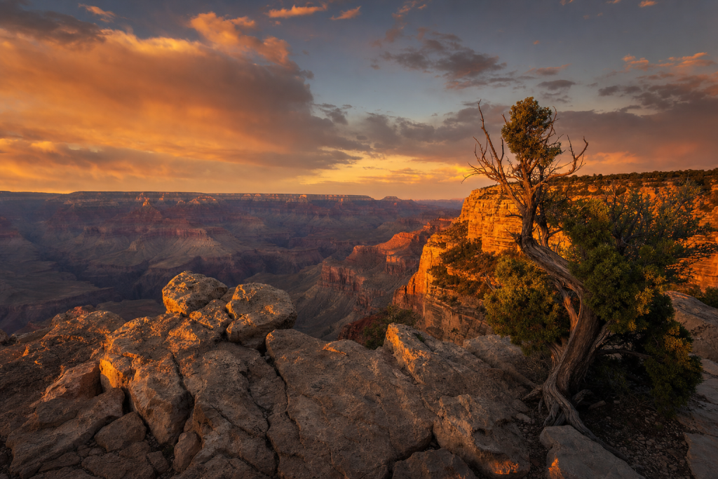 Detail-rich photograph related to RAW vs JPEG, late golden hour light, photorealistic, no text