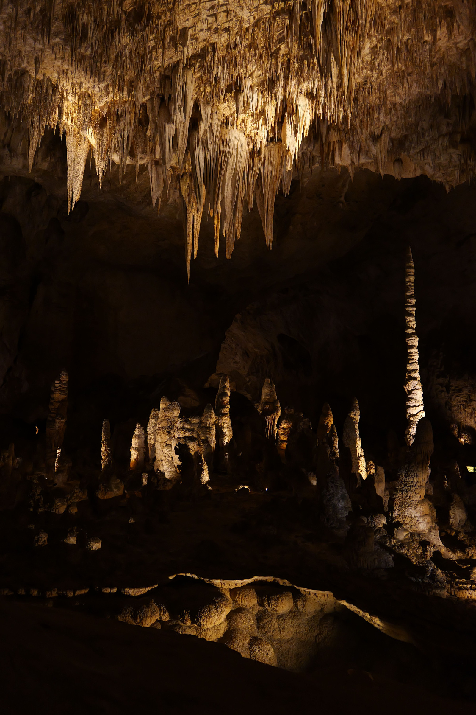 Vertical view of hanging and rising cave formations at Carlsbad Caverns