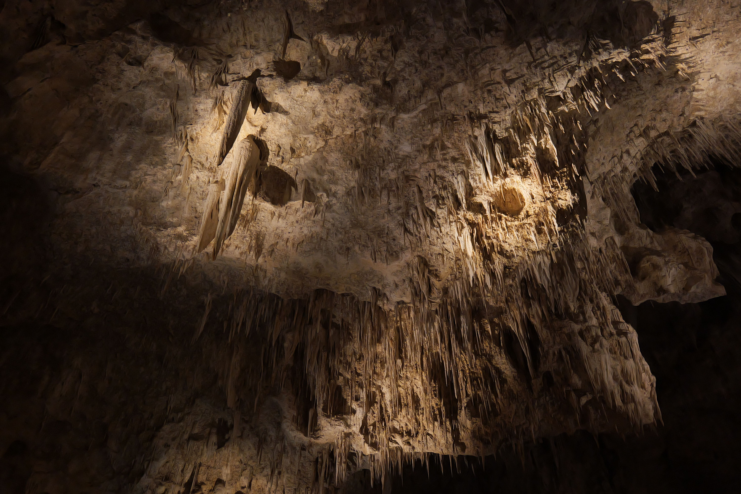 Lit rock textures and hanging formations in Carlsbad Caverns