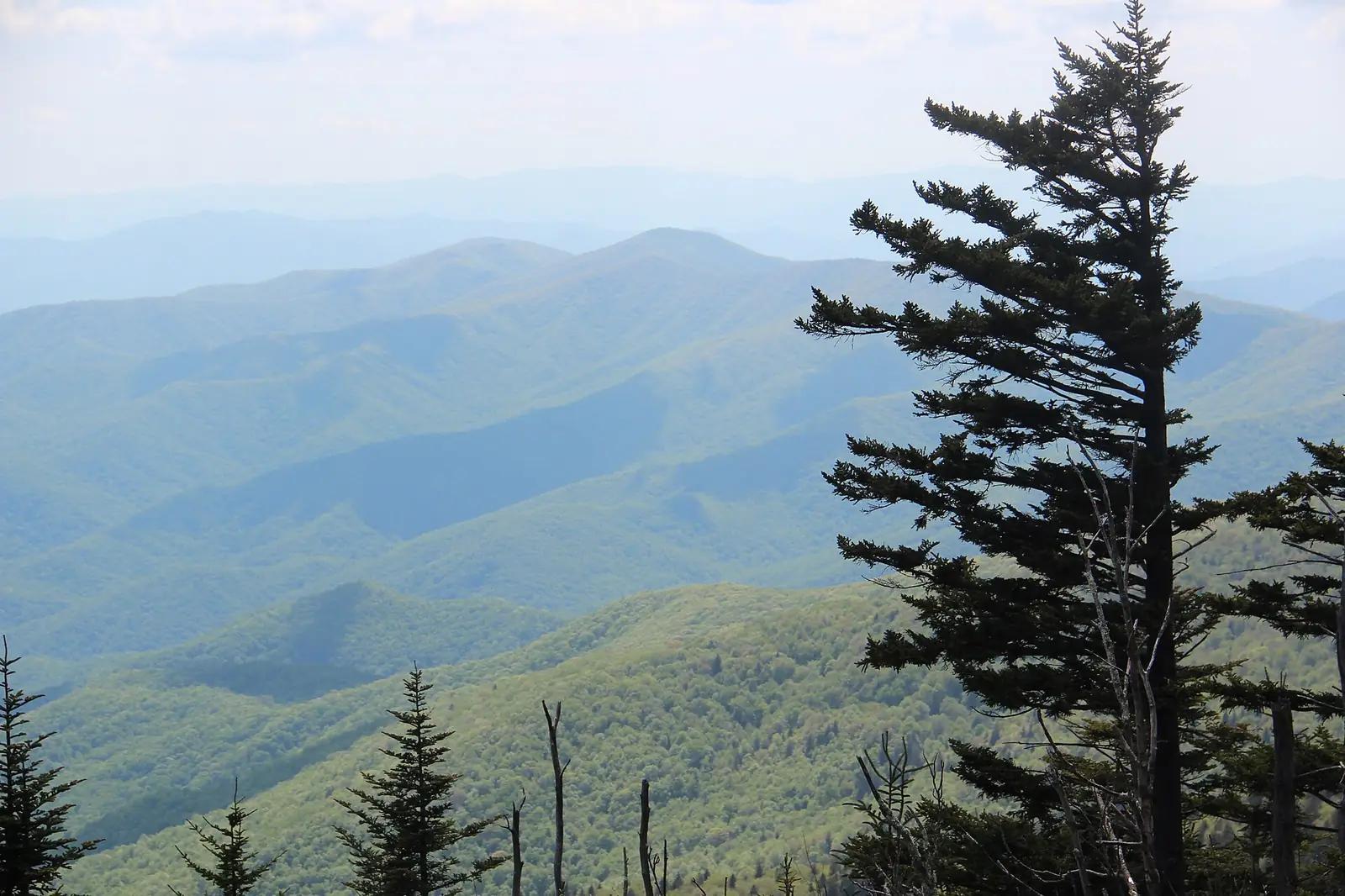 Clingmans Dome: Photography Guide