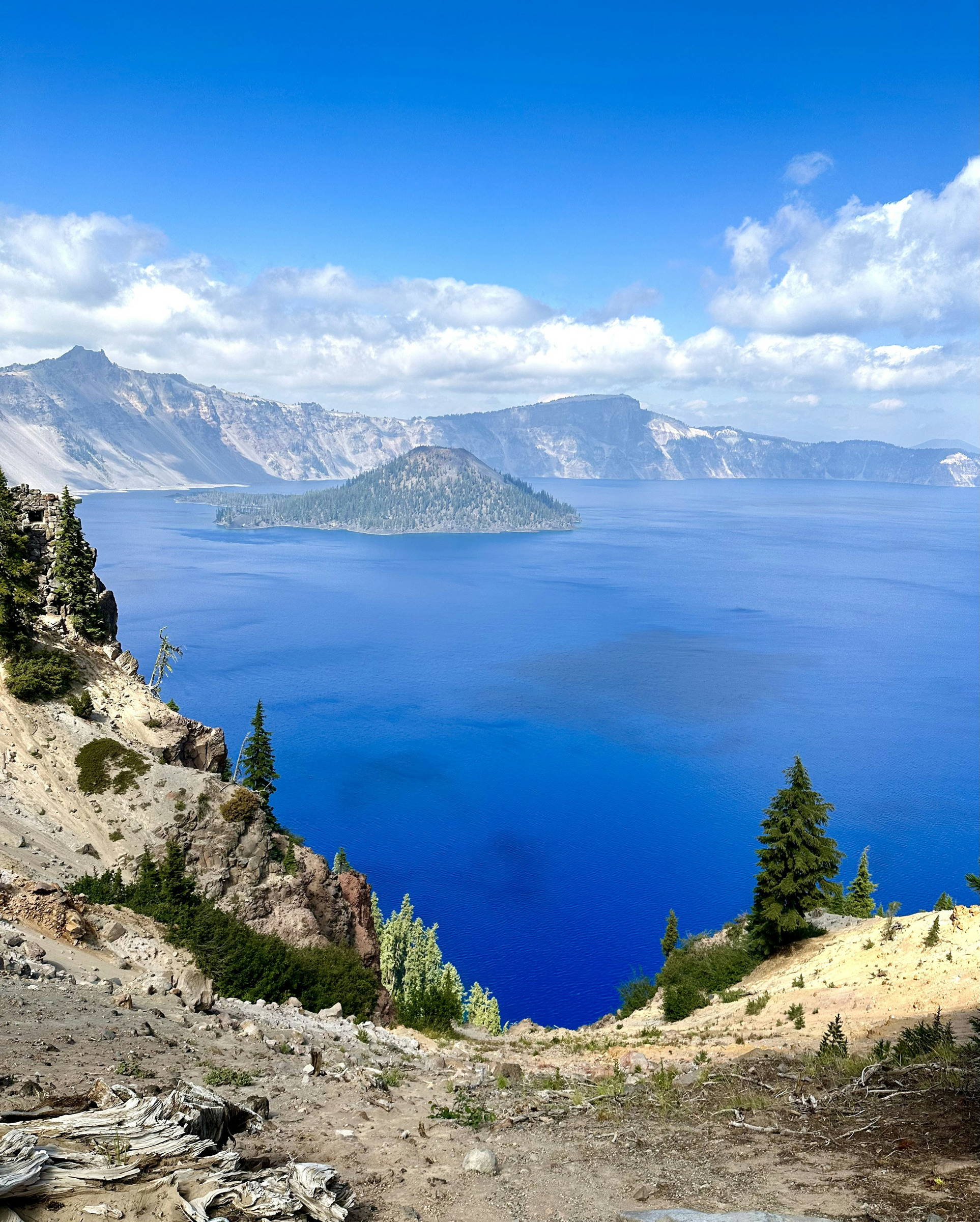 Wizard Island across Crater Lake with a rocky foreground and trees