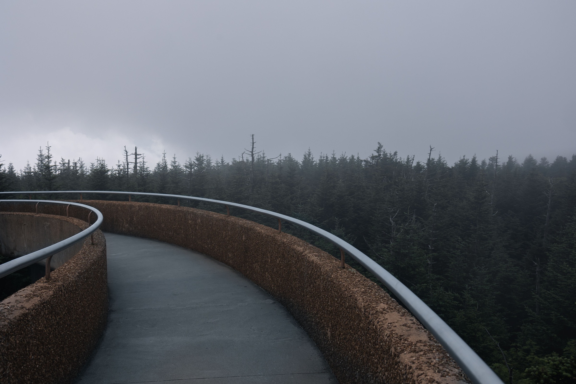 Empty curved ramp at Kuwohi with forest fading into fog