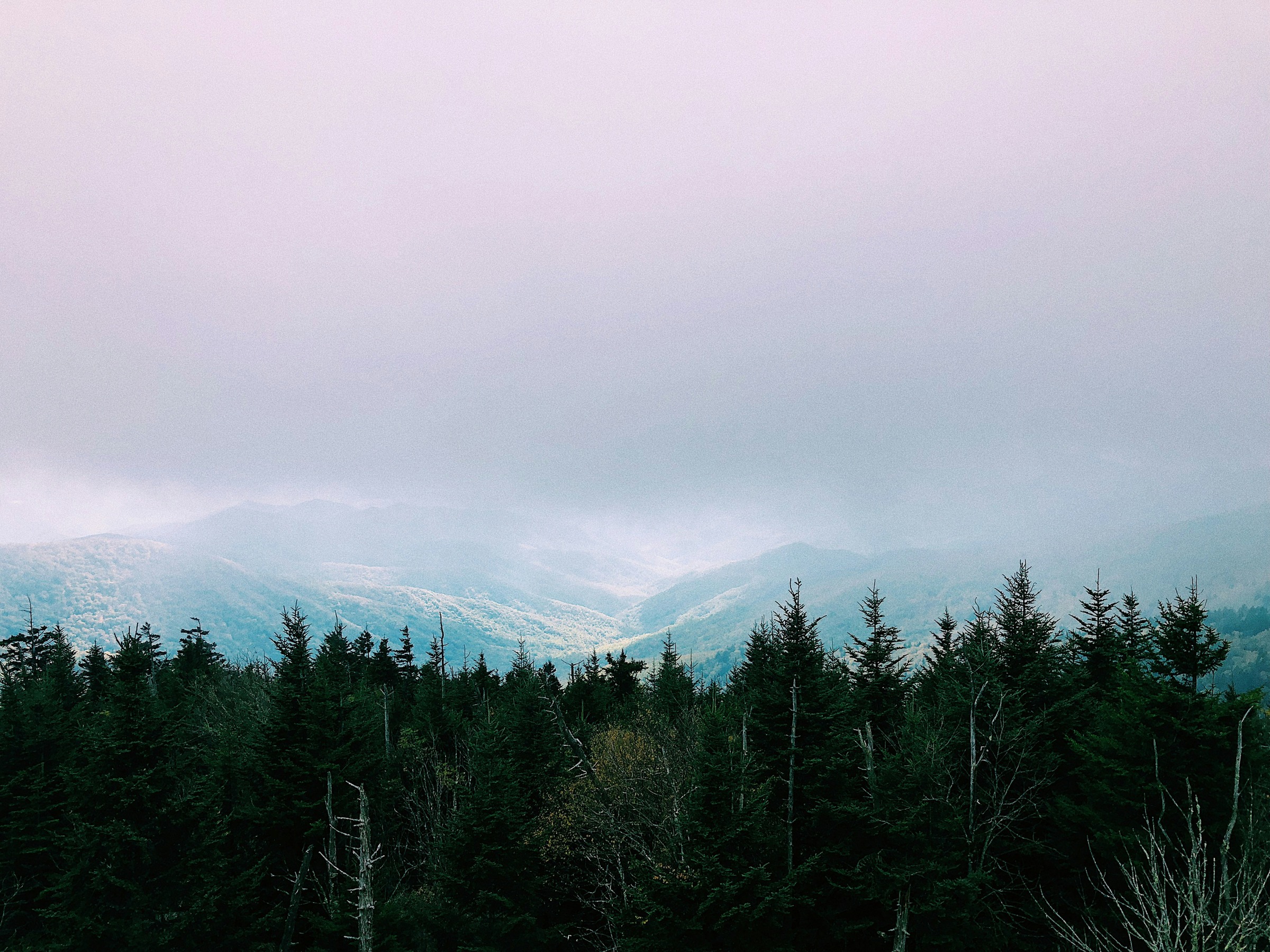Misty mountain view through trees along Clingmans Dome Trail