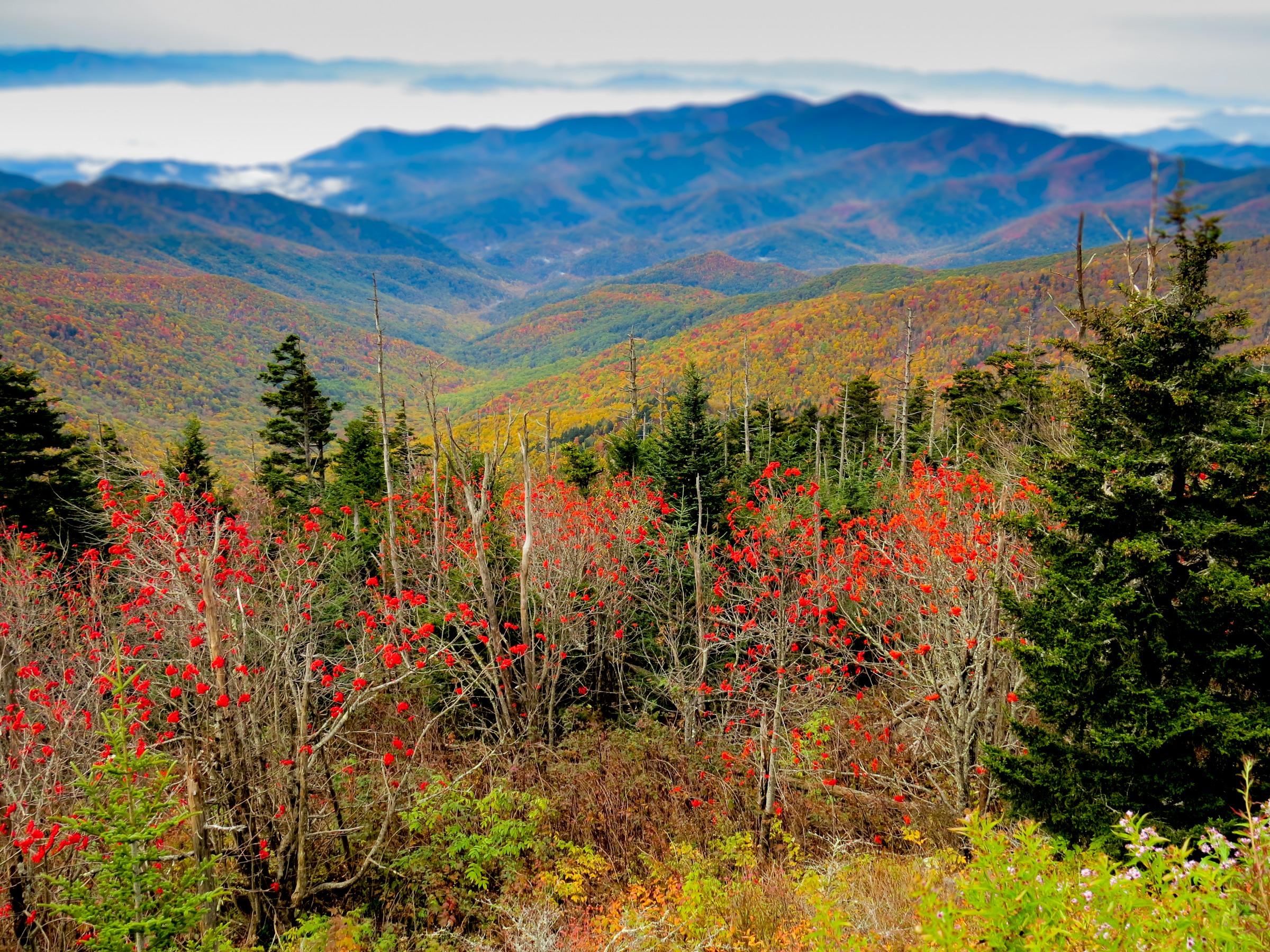 Fall foliage and mountain ridges viewed from the Kuwohi observation tower