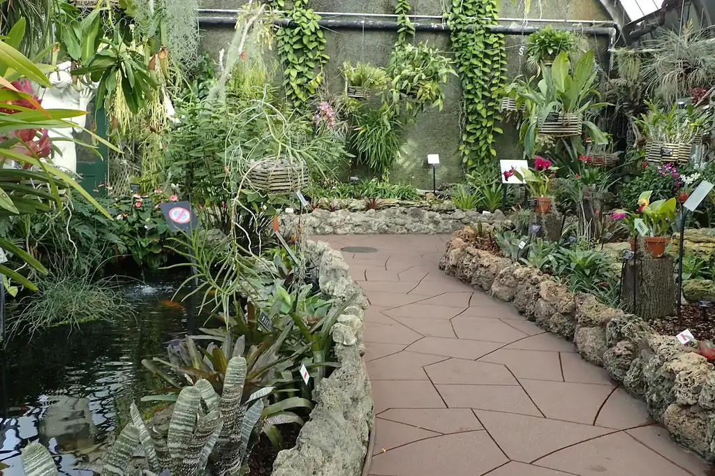 Photographing Lincoln Park Conservatory: Complete Guide