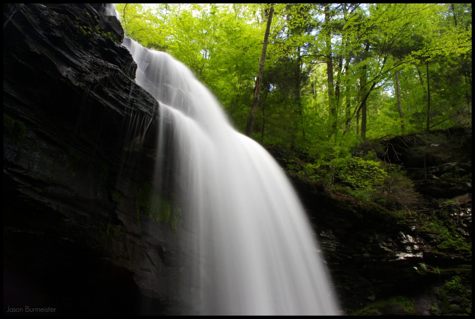 Ricketts Glen State Park forest waterfall flowing over moss-covered rocks with silky long-exposure water
