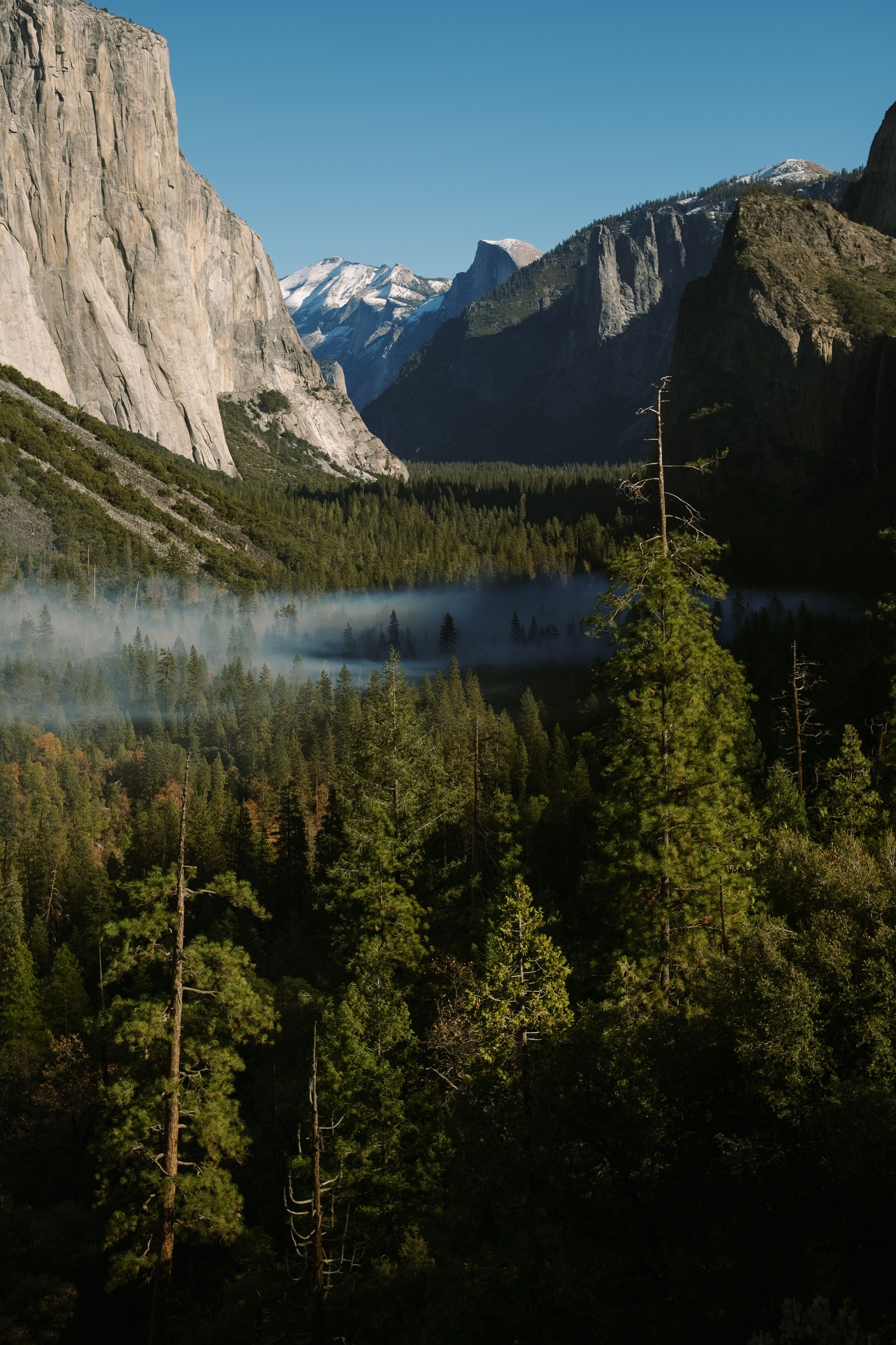 A vertical Tunnel View photograph with mist among forest trees