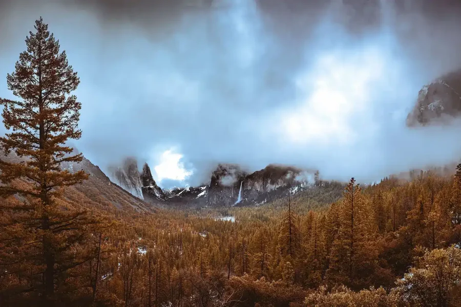 Photography 101 – A Complete Beginner’s Guide To Composition Techniques