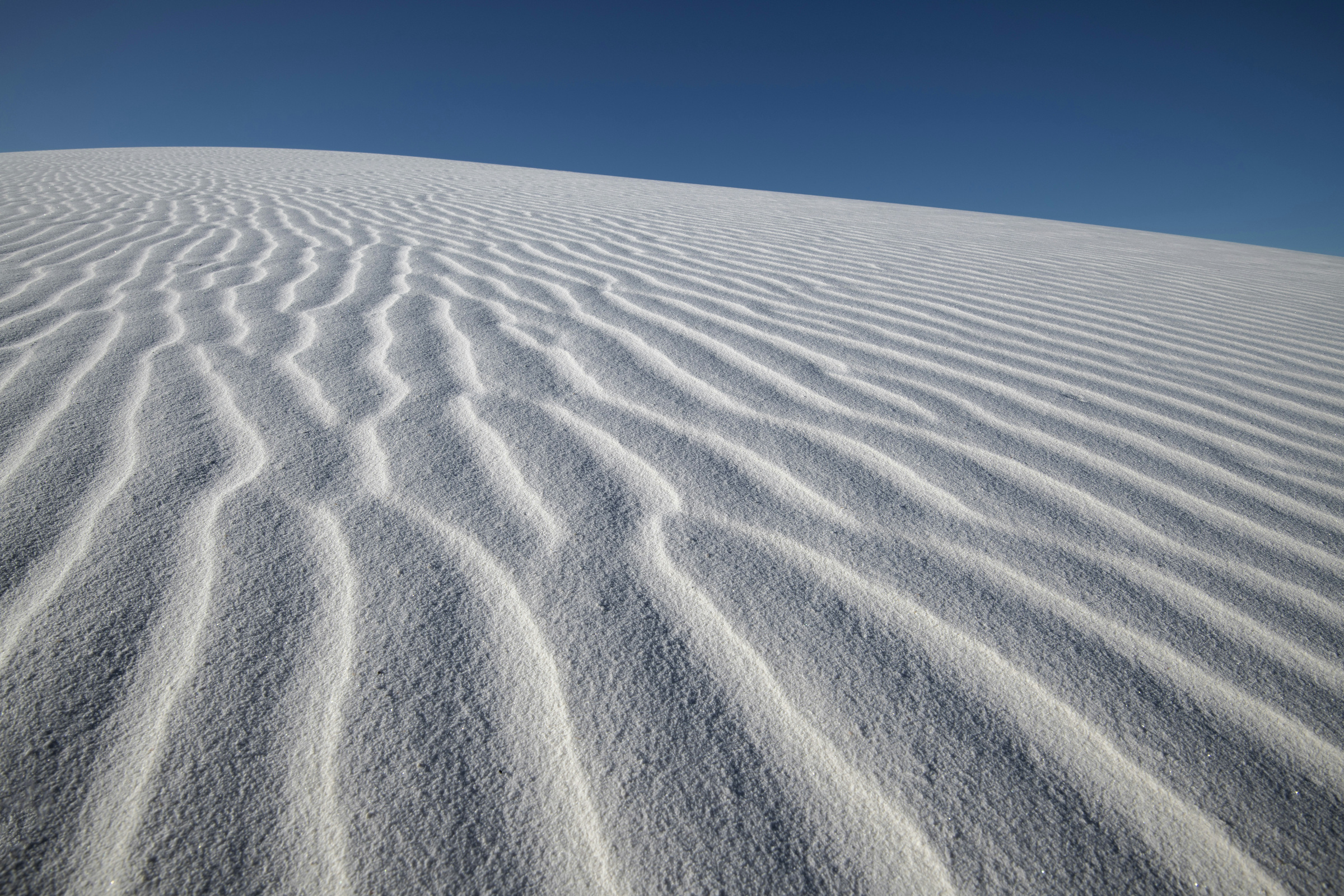 Wind-shaped ripples on a bright gypsum dune under blue sky at White Sands National Park
