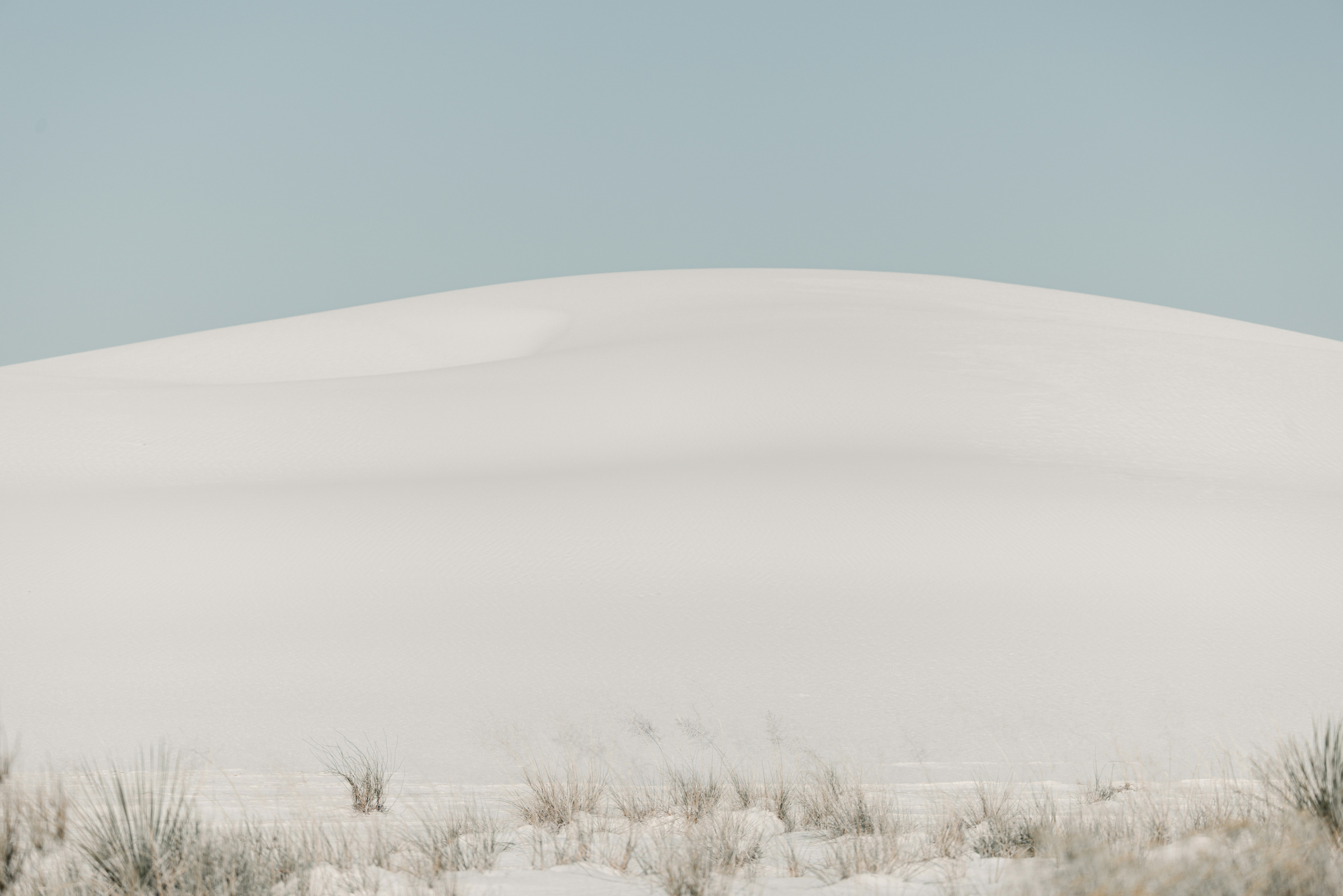 A smooth white dune crest above sparse foreground plants at White Sands National Park