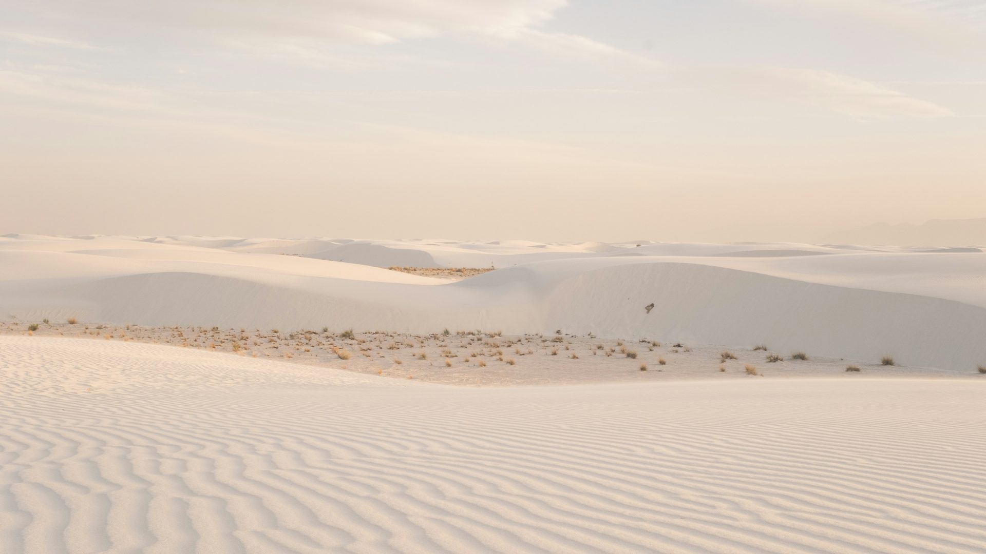 Layered white gypsum dunes and foreground ripples under a pale sky at White Sands National Park