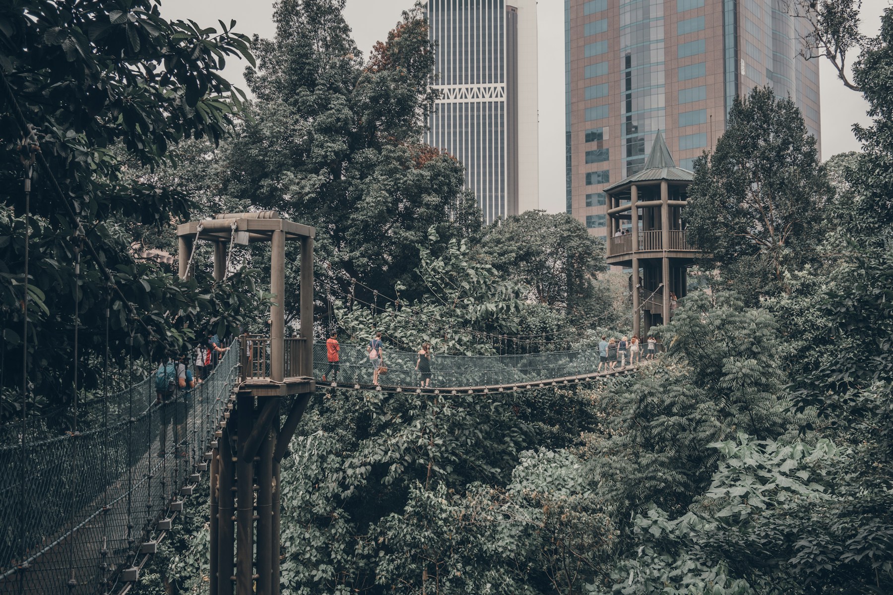 People crossing the suspension canopy bridge amid trees in KL Forest Eco Park.