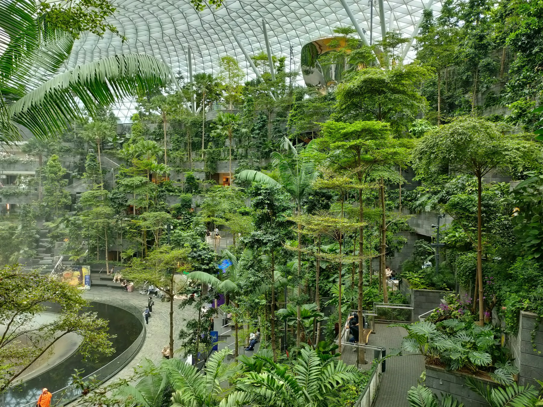 Indoor Forest Valley at Jewel Changi