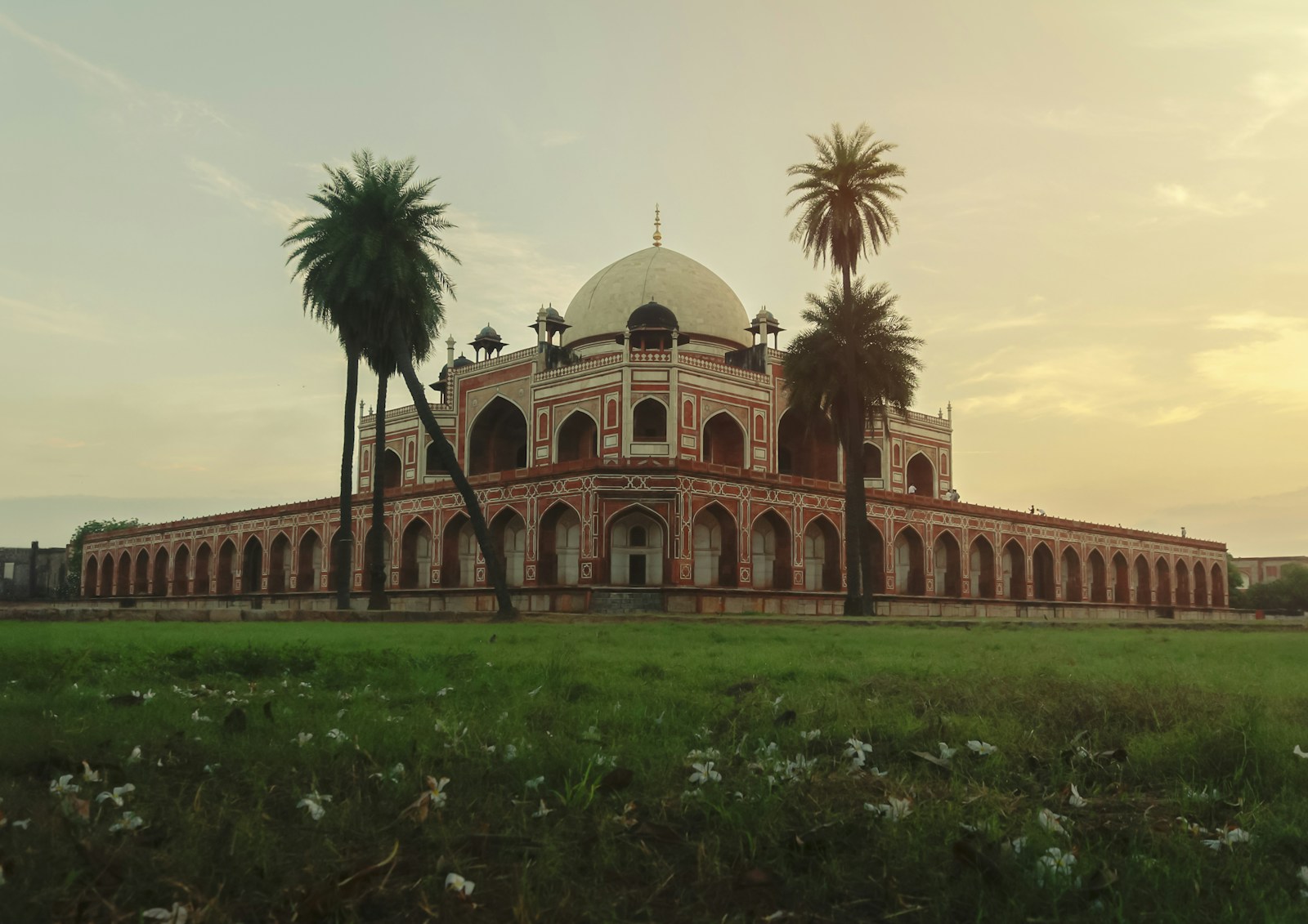 Humayun's Tomb and palms in warm evening light