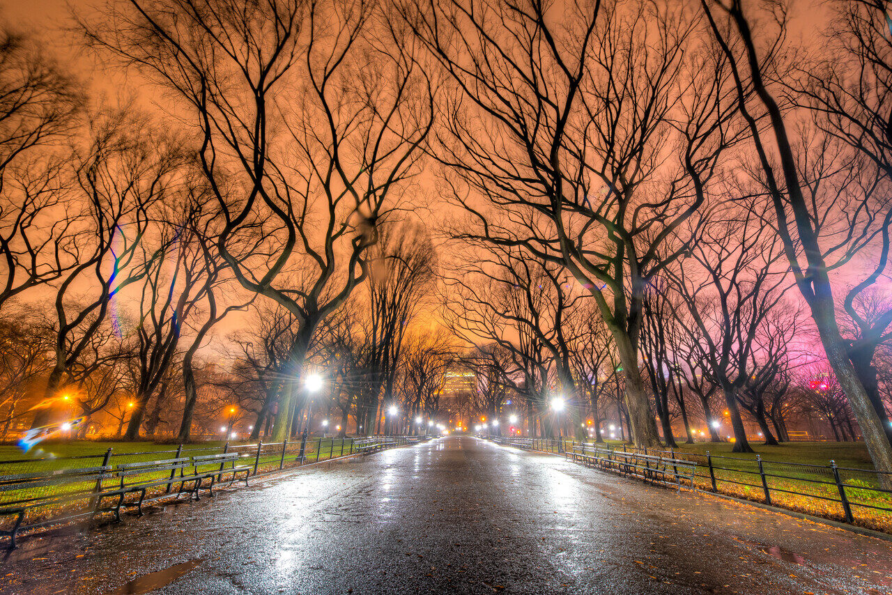 Central Park path under orange dusk trees and wet pavement