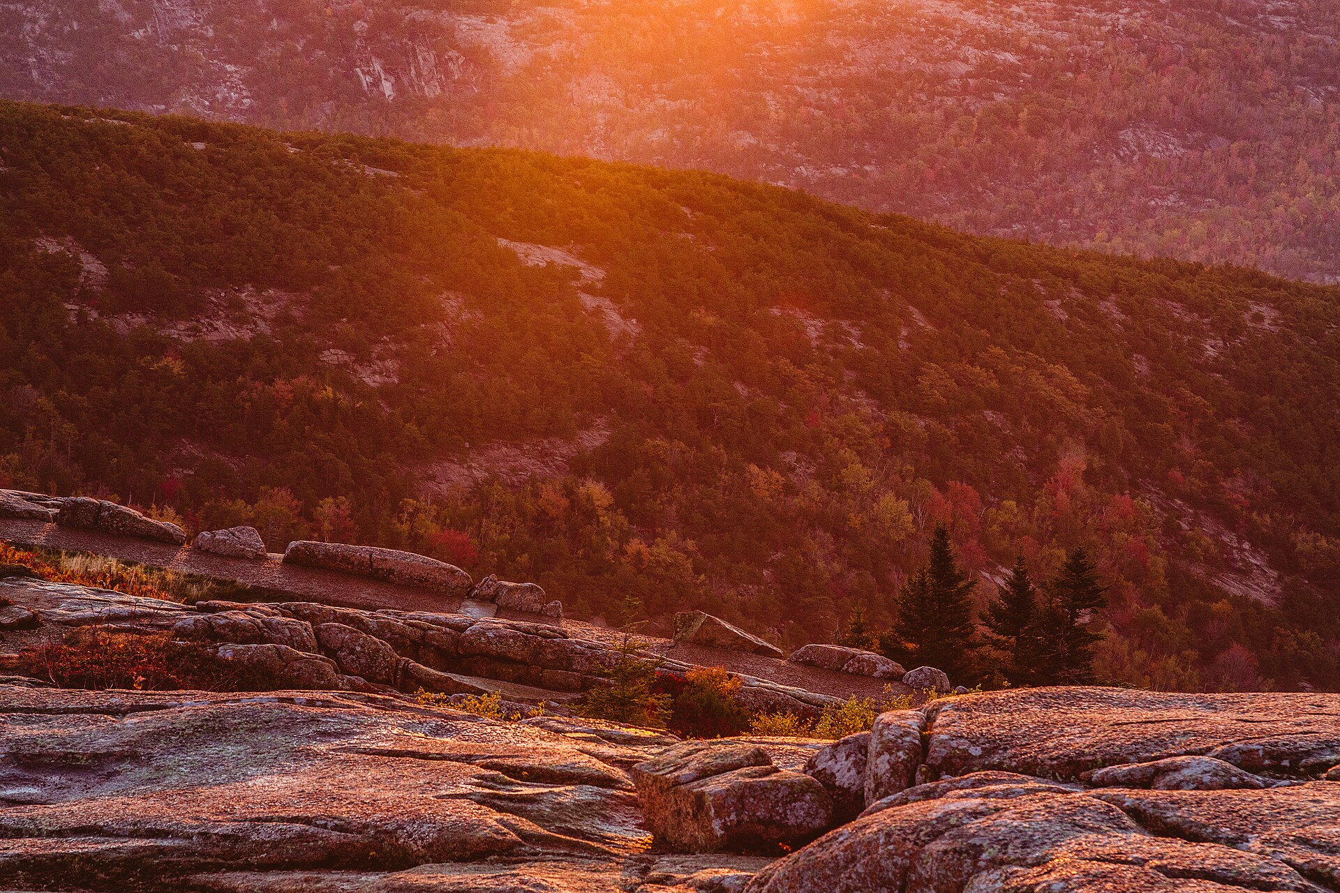 Sunrise over granite and forest from Cadillac Mountain in Acadia National Park