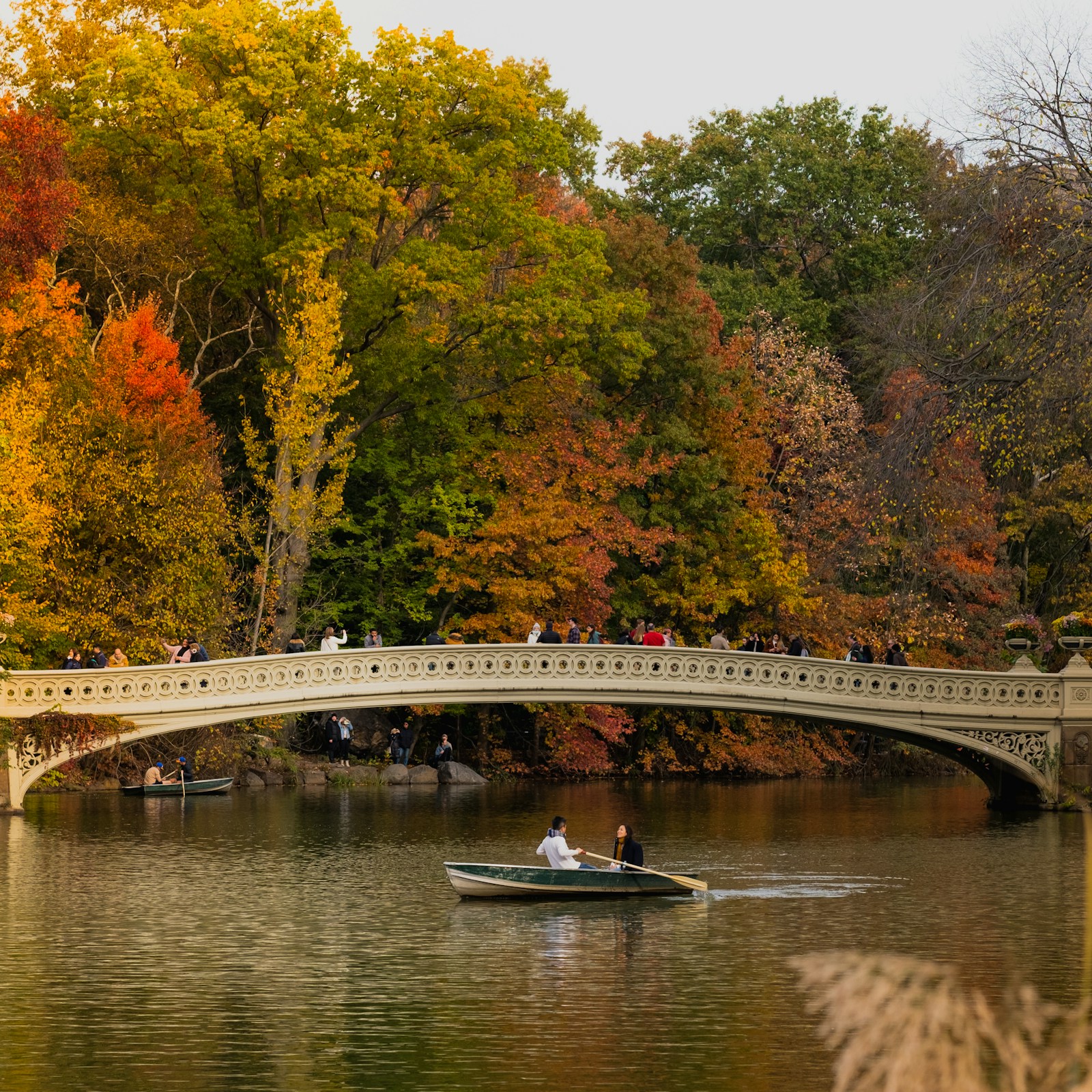 Rowboat under Bow Bridge with orange autumn trees in Central Park