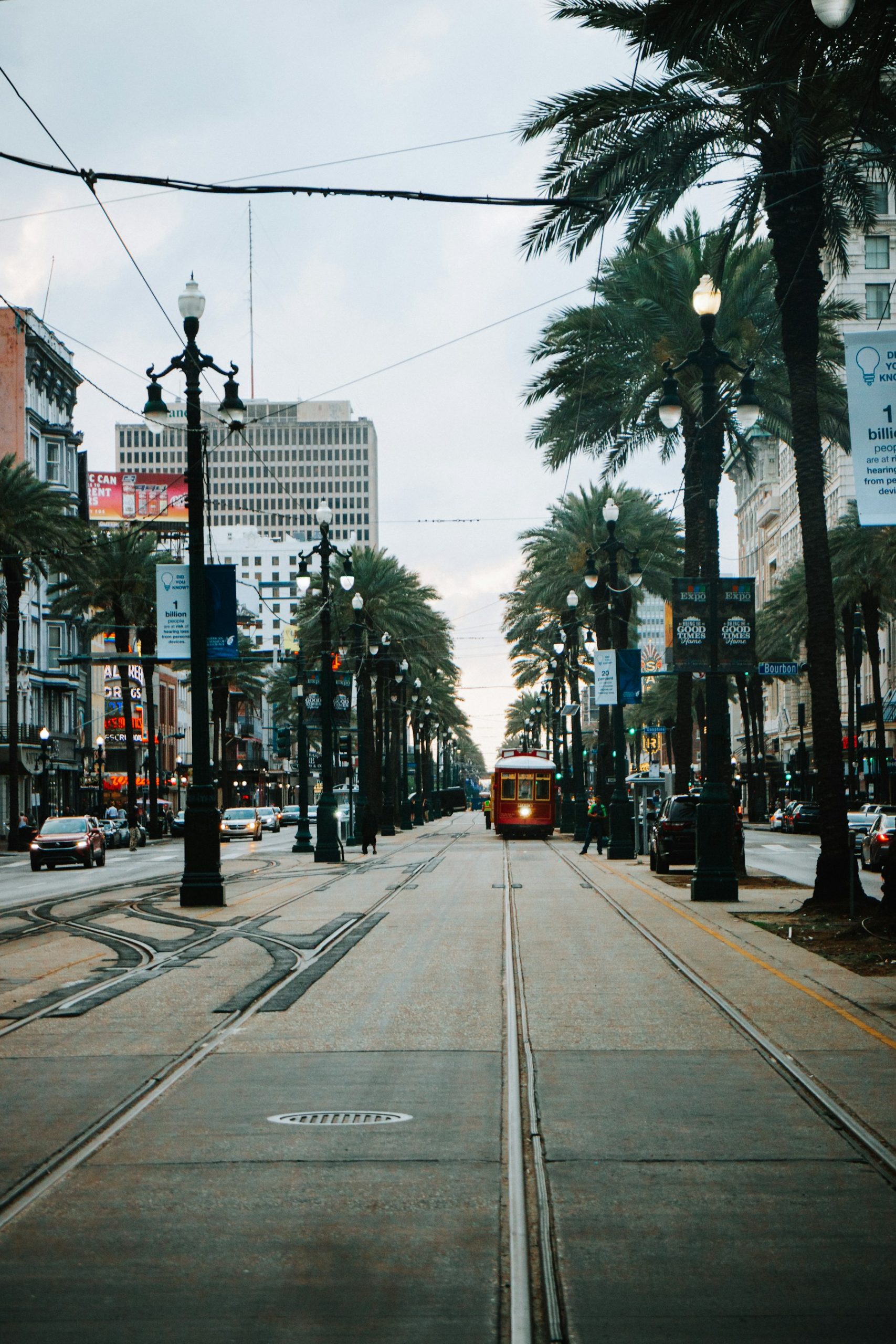 Canal Street streetcar framed by palm trees in New Orleans