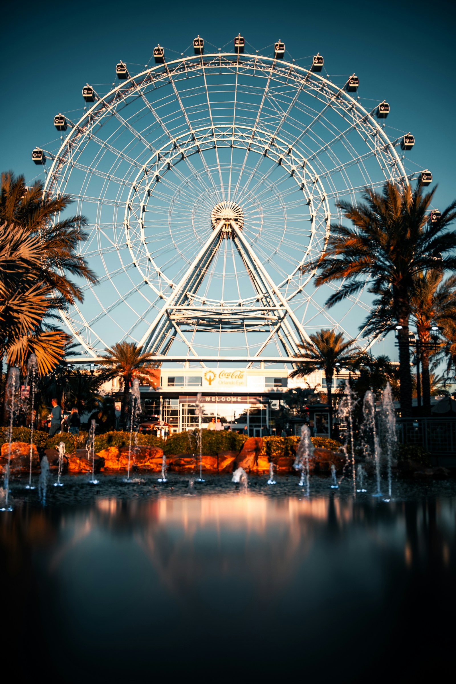 The Orlando Eye framed by palms and fountain at golden hour