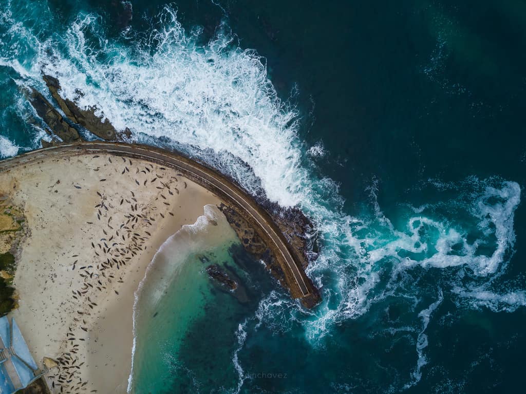 Aerial view of Children's Pool in La Jolla with surf and sea lions