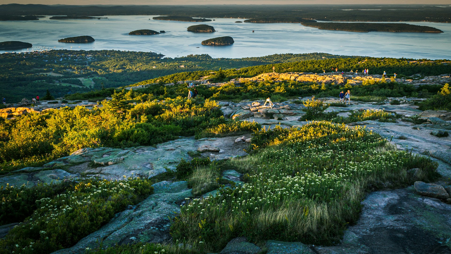 Islands of Frenchman Bay from the Cadillac summit