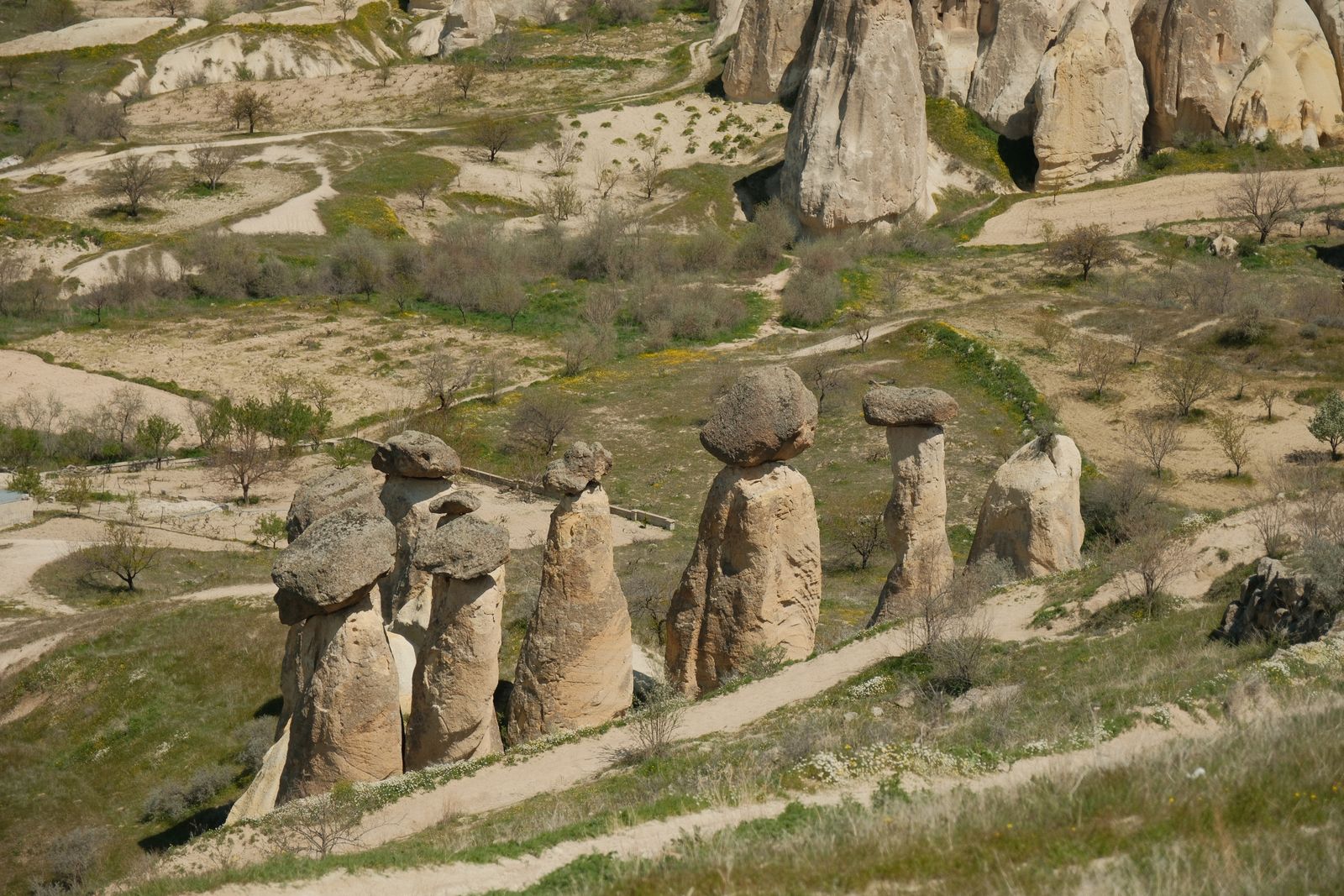 Fairy chimneys in Cappadocia
