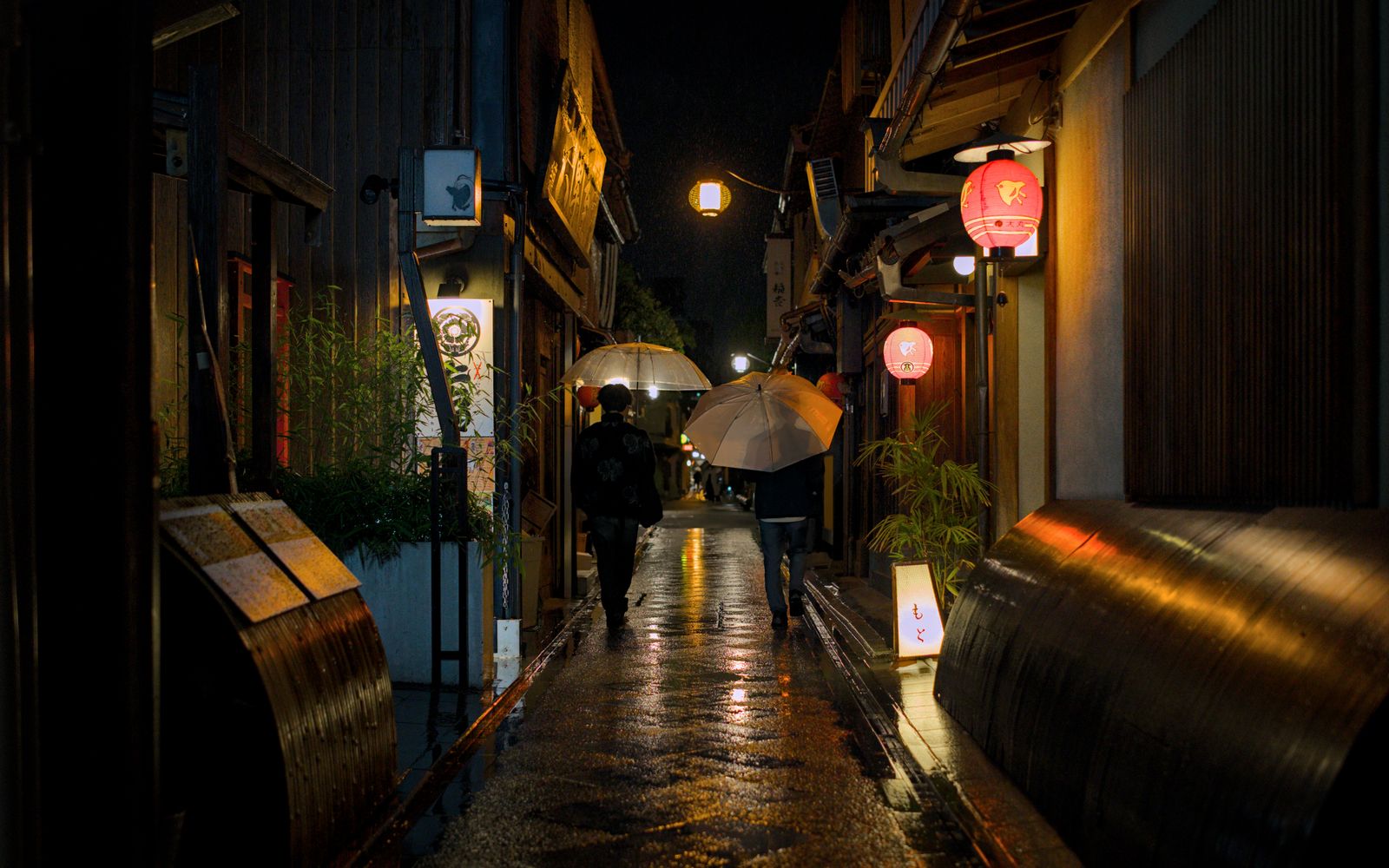 Lanterns reflect on the wet pavement of Kyoto's Pontocho Alley at night