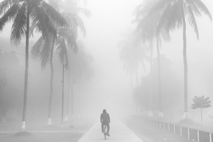 Misty Winter in Bangladesh: Photo Gallery