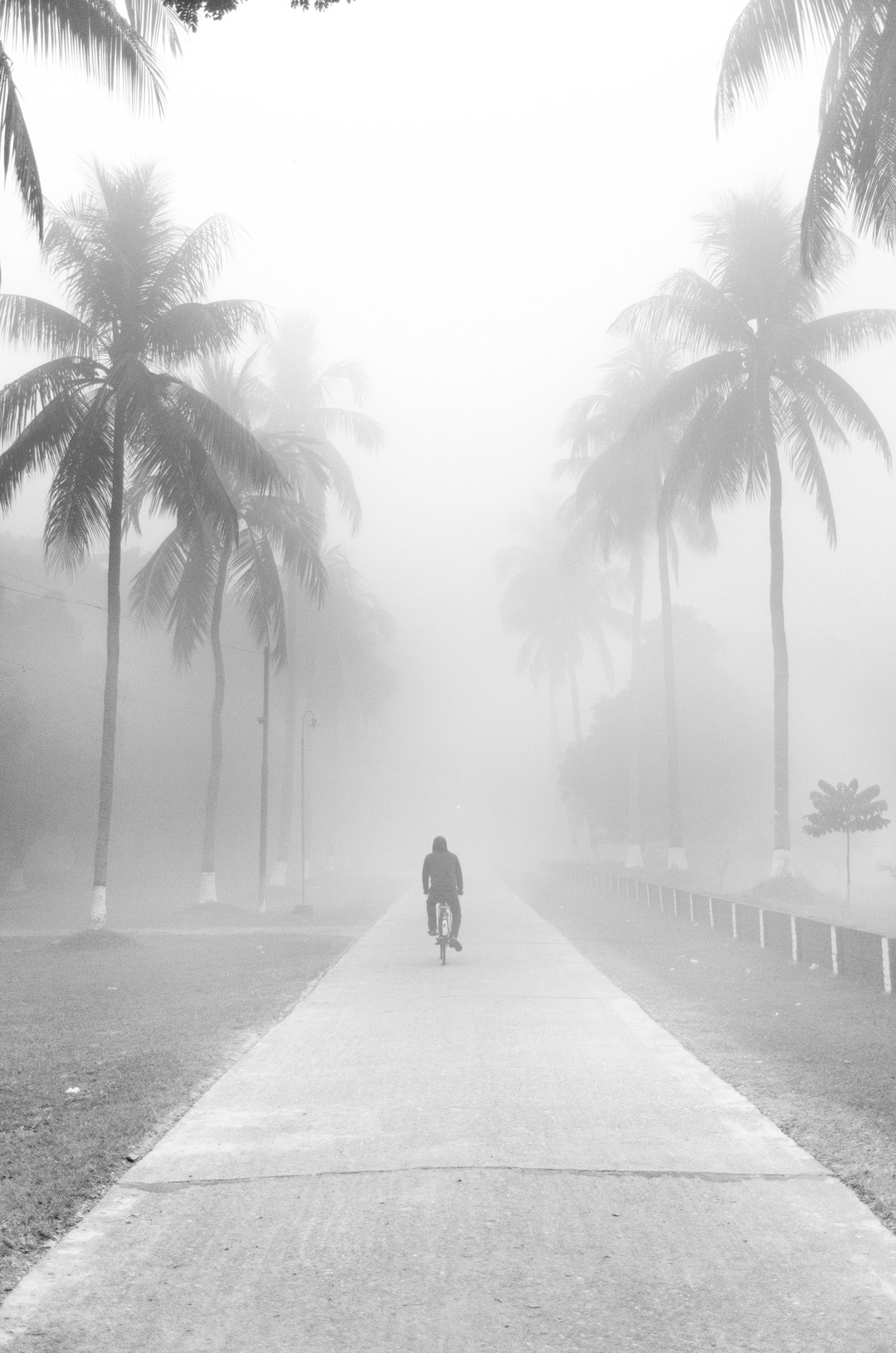 Misty Winter in Bangladesh: Photo Gallery