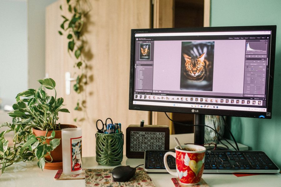 Best AI Photo Editing Tools in 2026: What Actually Works