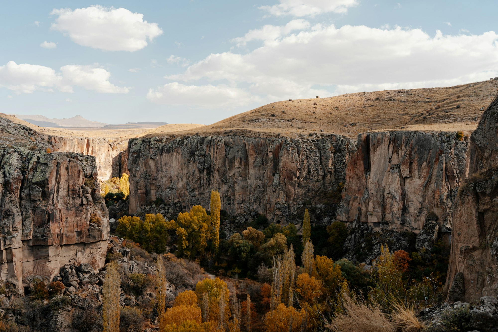 Ihlara Valley canyon walls with autumn trees, Cappadocia