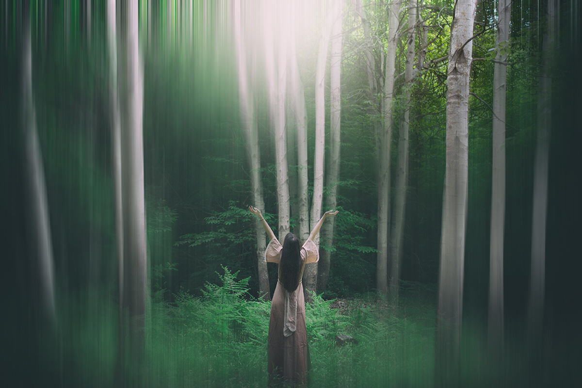 A woman raises both arms among tall trees in a green forest.
