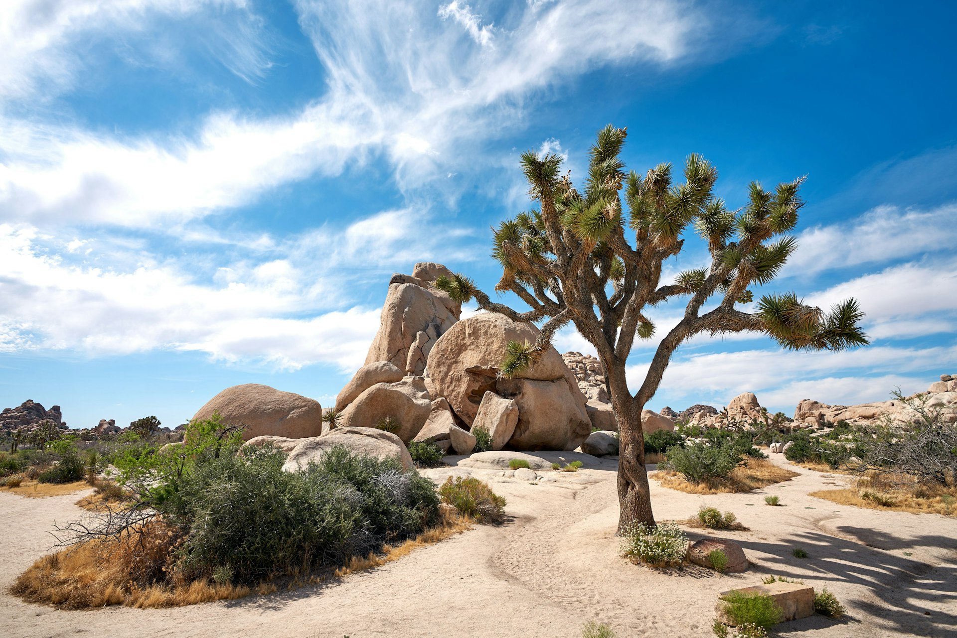 Desert Landscape Photography: 6 Essential Steps