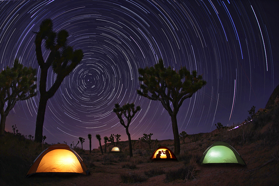 Four glowing tents and desert trees beneath circular star trails.