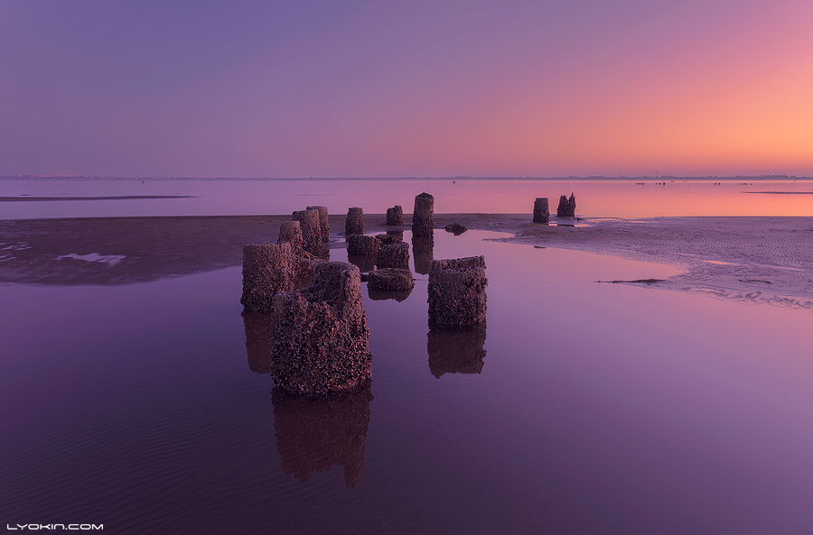 Old pier posts in shallow water beneath a pink twilight sky.