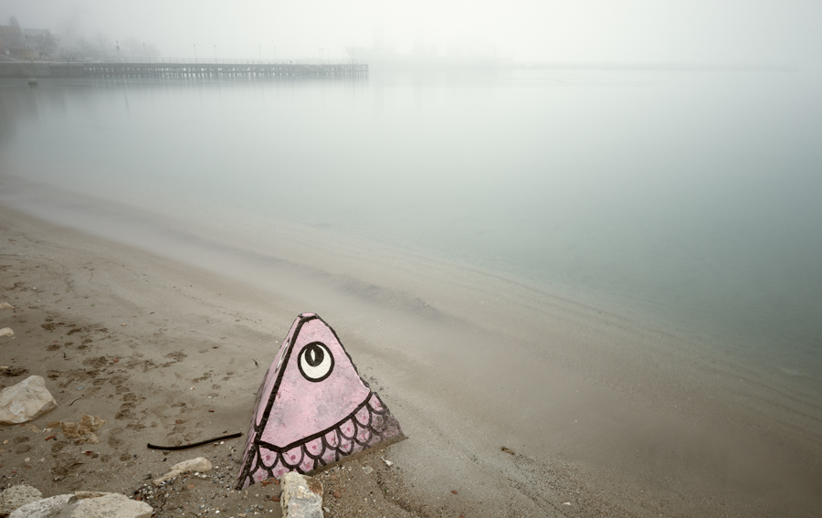 A small pink fish-shaped object on a sandy beach beside misty water.