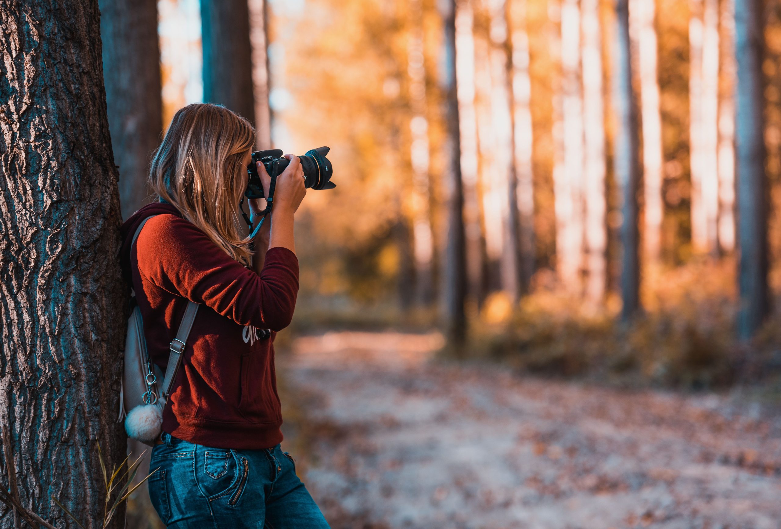 Woman photographing an autumn forest beside a tree
