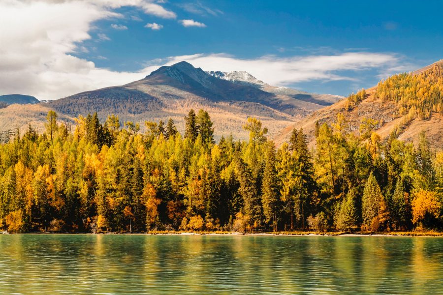 Golden autumn trees along a lake beneath a mountain range