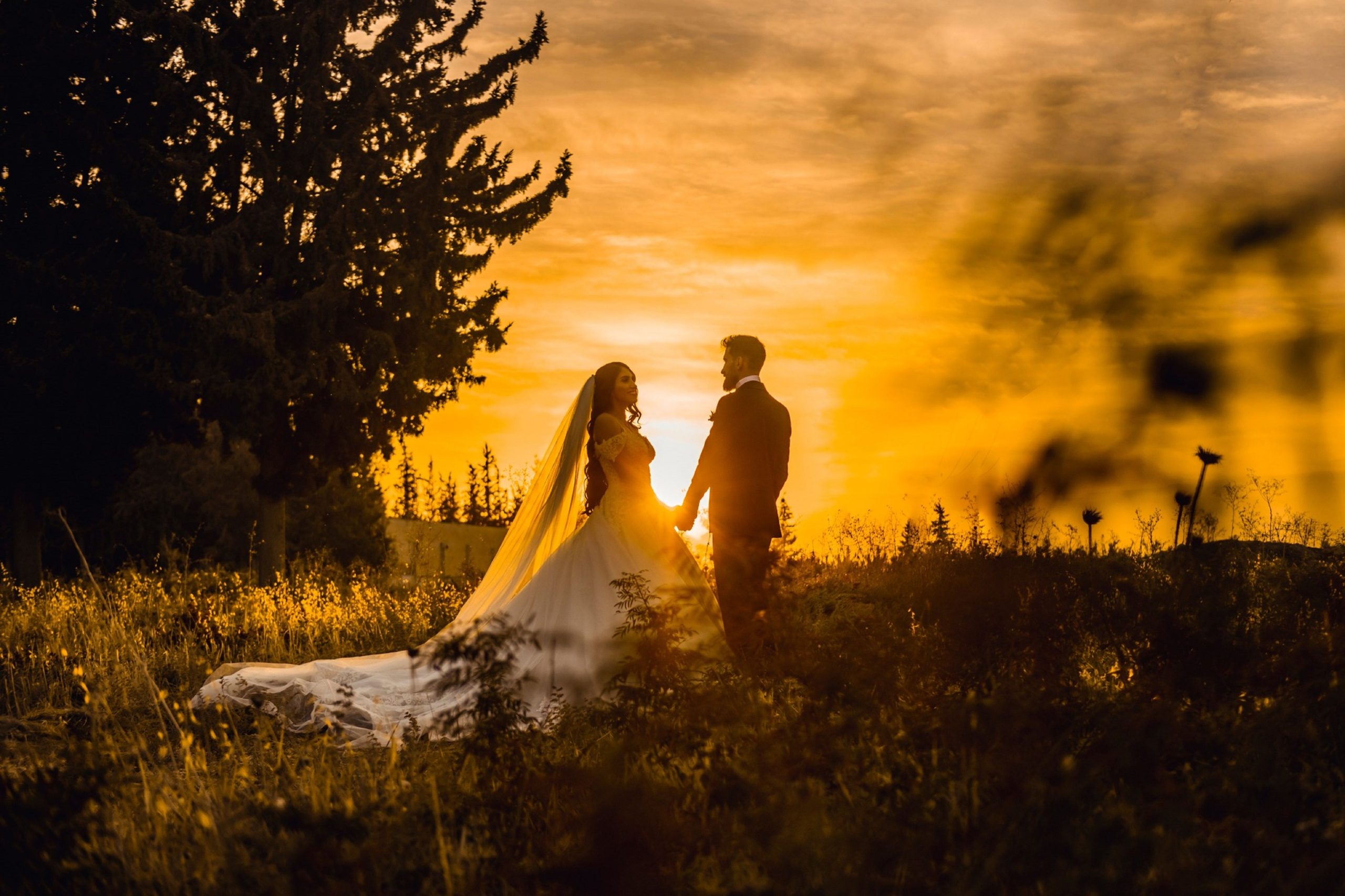 Sony A7 IV Wedding Photography Settings: Full Guide