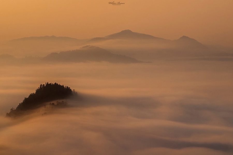 Mountain summits rising through a golden sea of clouds.