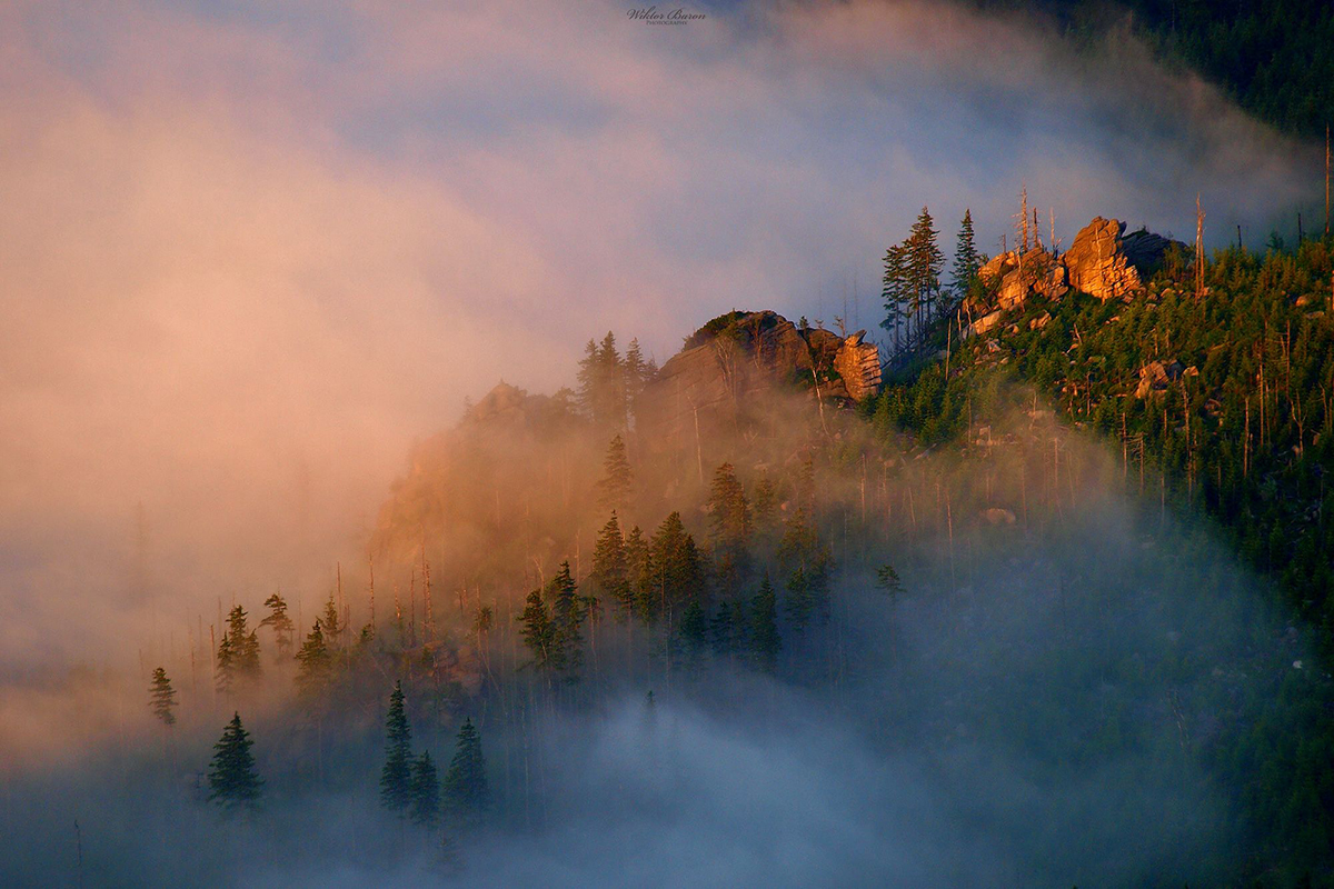 Sunlit rocky ridge and fir trees partly hidden by thick mist.