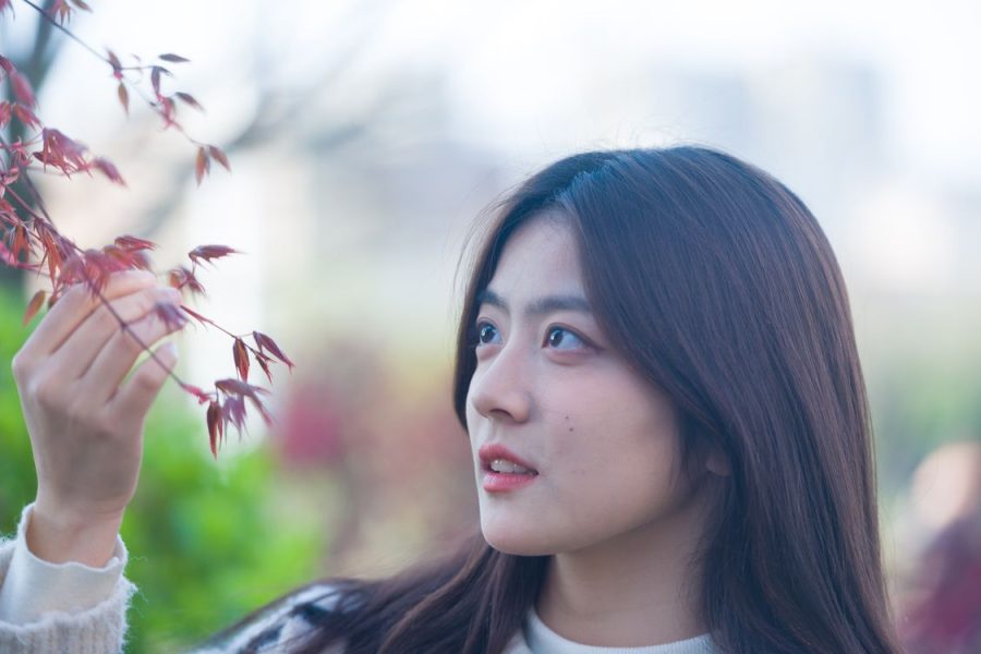 Woman looking at reddish leaves on a branch.