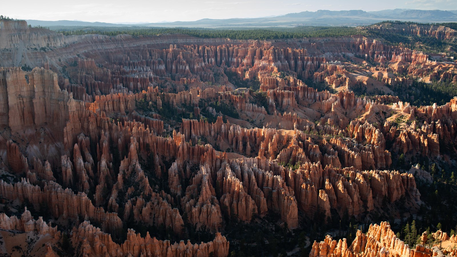 Morning light on hoodoos and forest looking north from Bryce Point