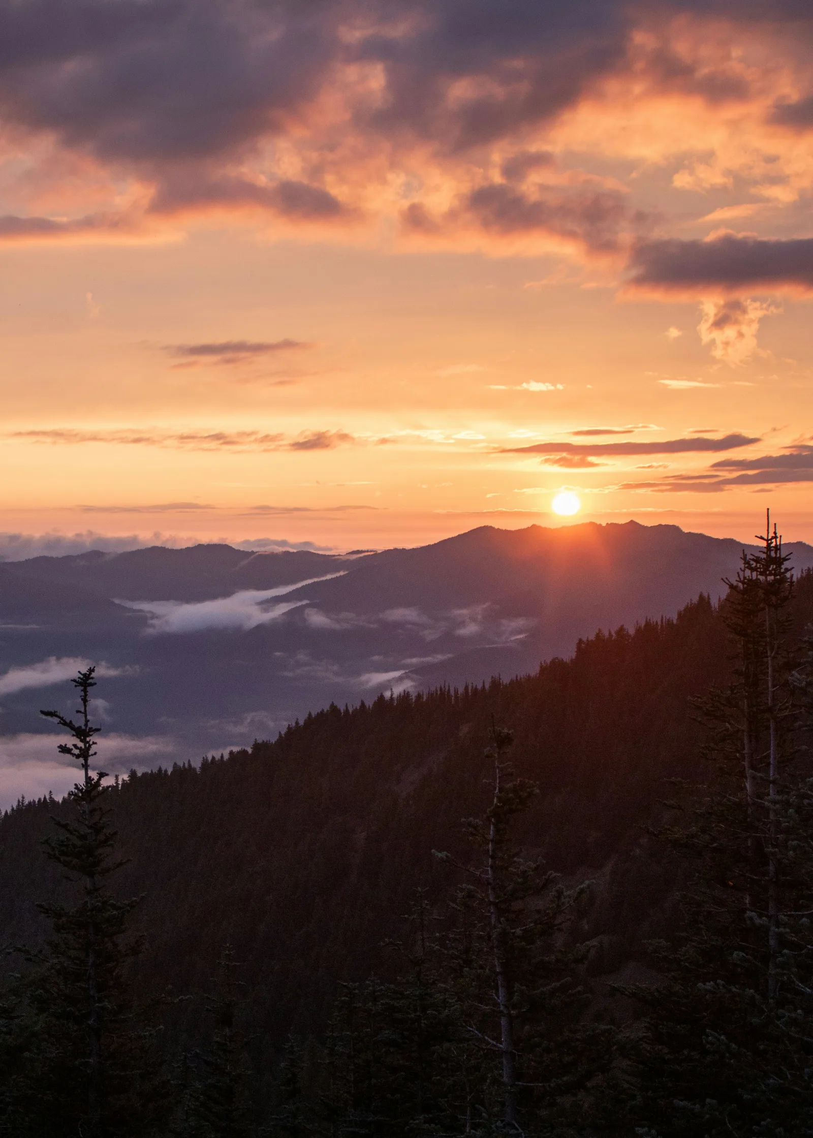 Sun setting over the layered Olympic ridgelines from the Hurricane Ridge area