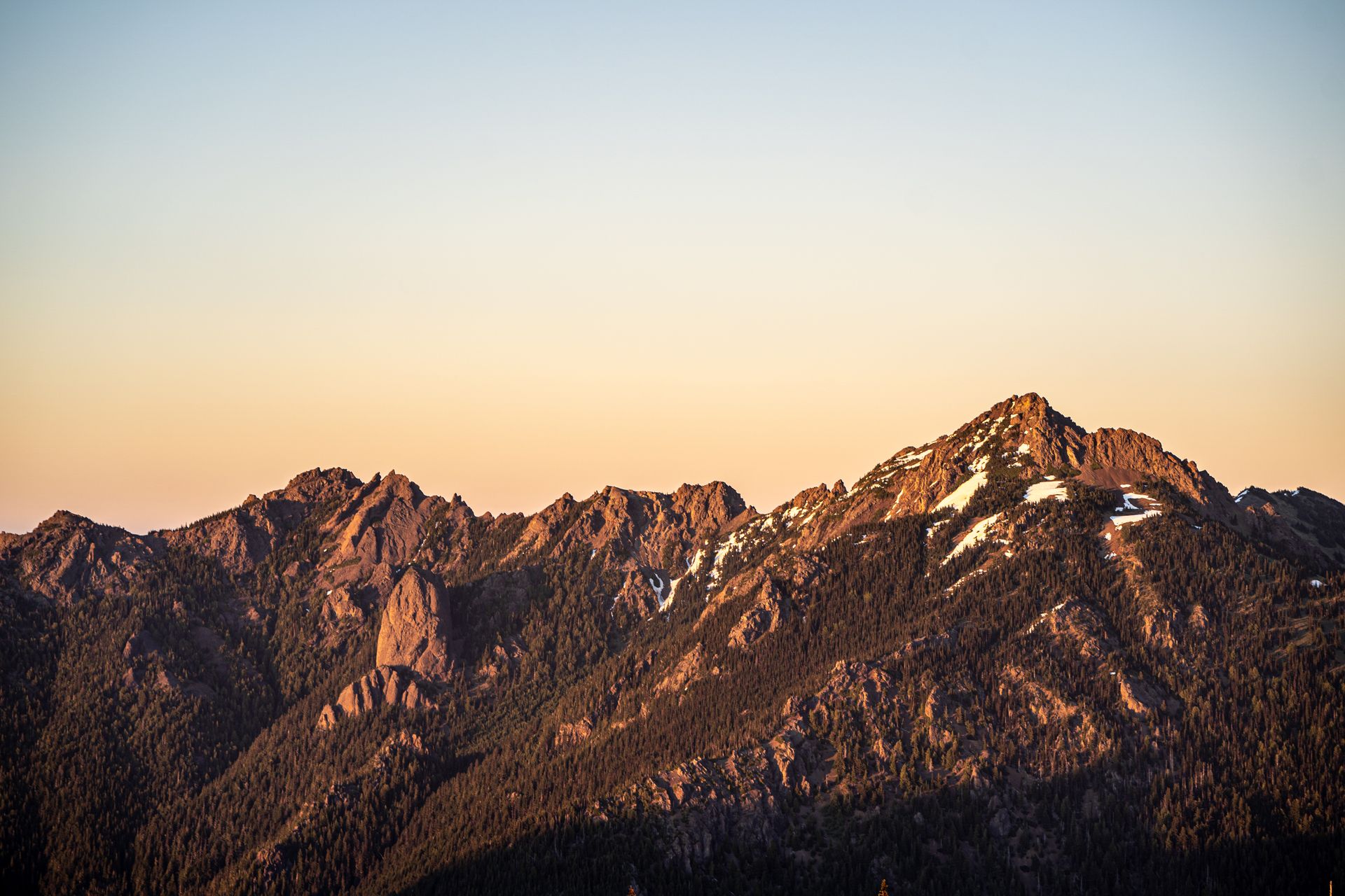 Golden sunrise light on the Olympic Mountains from Hurricane Ridge