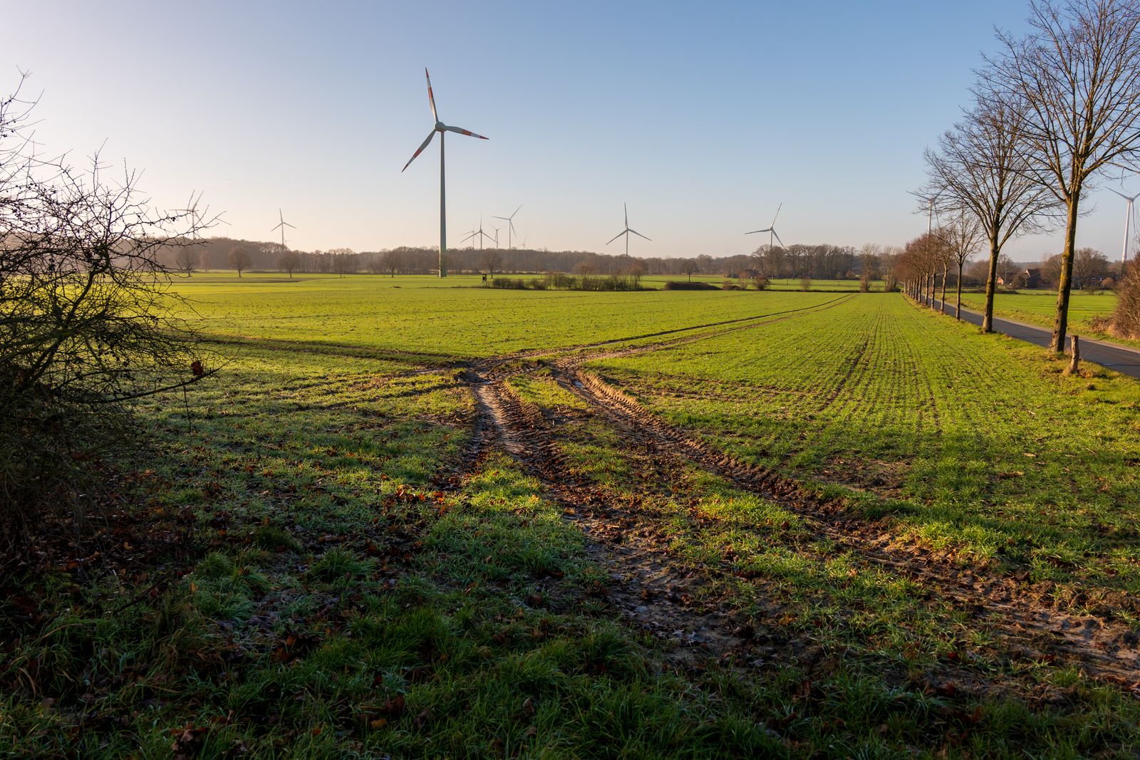 Wind turbines across a rural field at sunrise