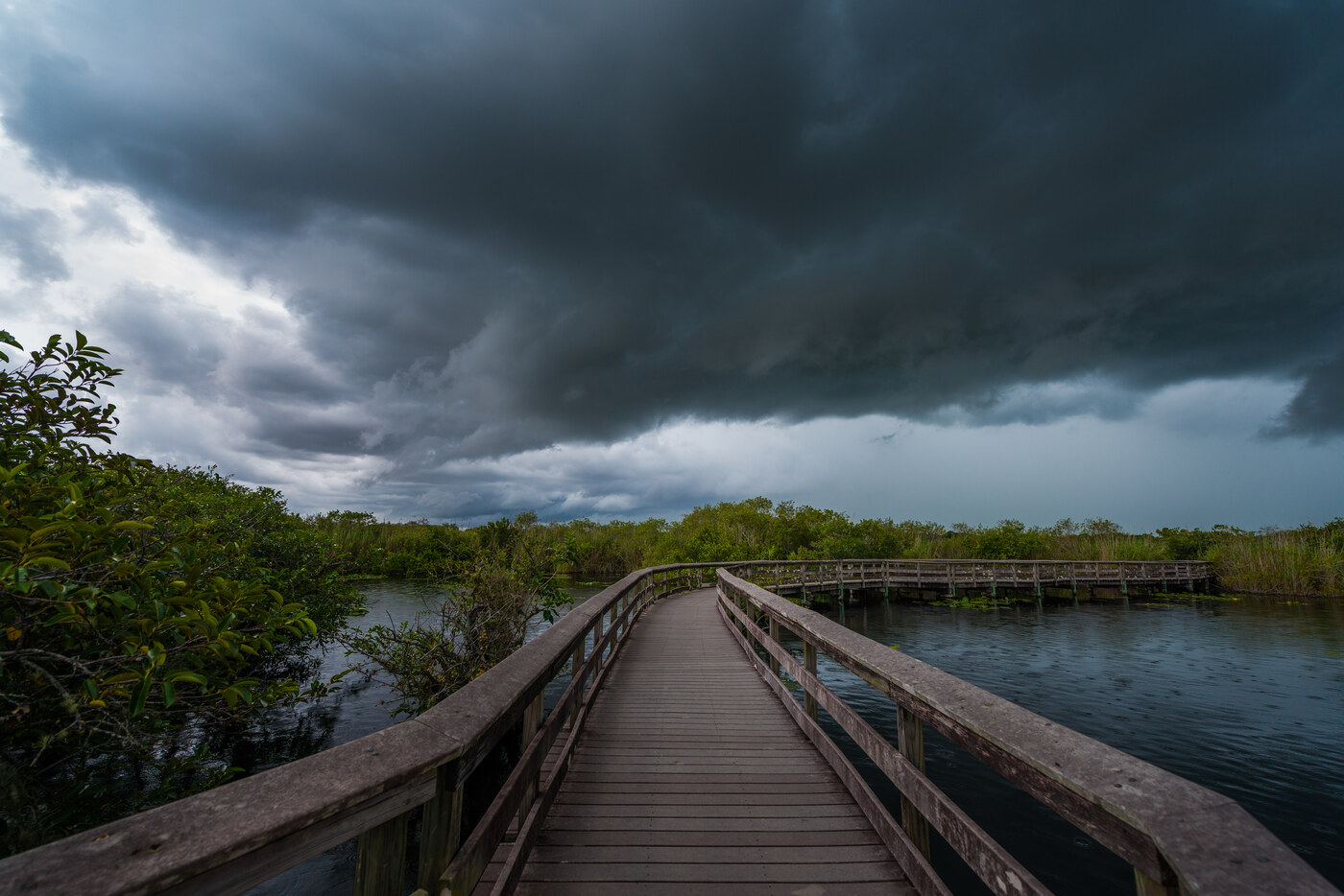 A wooden boardwalk leading through green wetland beneath a dark, heavy storm cloud