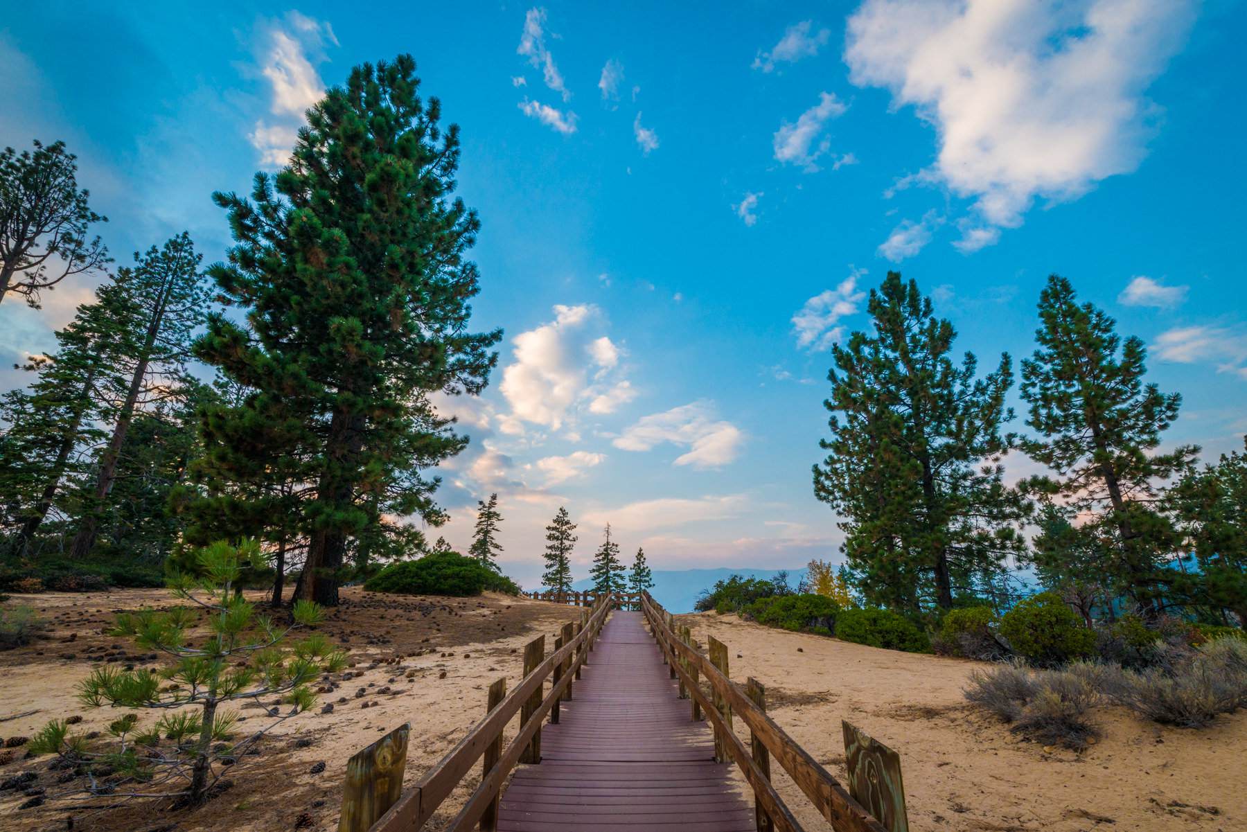 Sand Point boardwalk